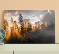 Canvas natuur landschap Bos met mist en zon