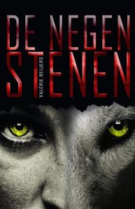 De negen stenen - Valerie Reijers - ebook