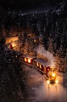 LED CANVAS 38X58CM TREIN 5LED 55 FIBER - 2AA - Annas collection