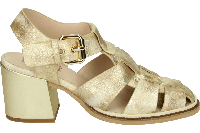 Pertini 251W32943D5 LIENZO - alle