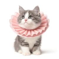 Aino Zachte beschermkraag voor kleine kat of kitten - Roze - Maat S Aino Zachte beschermkraag voor kleine kat of kitten - Roze - Maat S