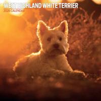 West Highland White Terrier Kalender 2026