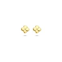 14k Geelgouden Oorknoppen Bloem - 5 mm