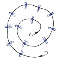 Benson Waslijn incl. 12 knijpers - elastisch van 190 tot 320 cm - met haken