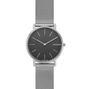 Horlogeband Skagen SKW6483 Mesh/Milanees Staal 20mm