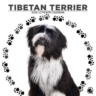 Tibetaanse Terrier Kalender 2026 Tibetaanse Terrier Kalender 2026