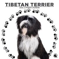 Tibetaanse Terrier Kalender 2026