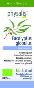 Physalis Eucalyptus globulus bio
