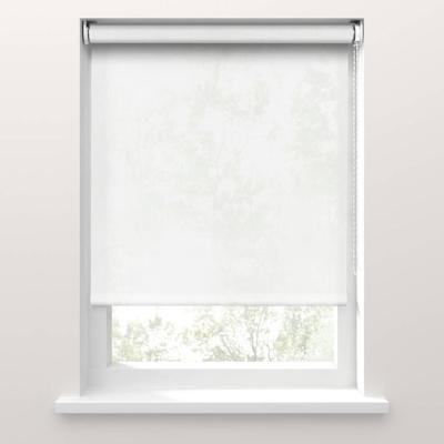 Leen Bakker - Fenstr Rolgordijn Prato Transparant - (10026) - Polyester - Wit - 120x10x10 Cm