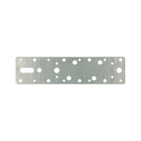 pgb-Europe FG | Koppelplaat 60x240 Zn - 50 stuks - FG01620010552505