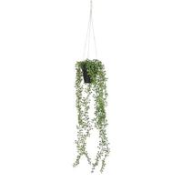 Mica Decorations Senecio Kunst Hangplant in Pot - H68 x Ø9 cm - Groen