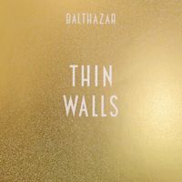 Thin Walls - LP (5414939917691) - thumbnail