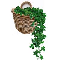 Wandhanger mand - bruin - 29 x 18 x 20 cm - rotan - gevlochten - voor bloemen/planten