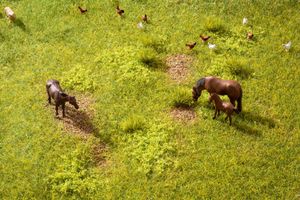 NOCH Meadow schaalmodel onderdeel en -accessoire Gras