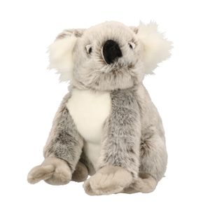 Knuffeldier koala 25 cm   -