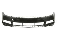 Bumper 5510009549900P