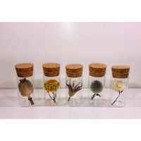 Gedroogde Bloem in Buis 'Verrassing' per stuk - 7 cm Gedroogde Bloem in Buis 'Verrassing' per stuk - 7 cm