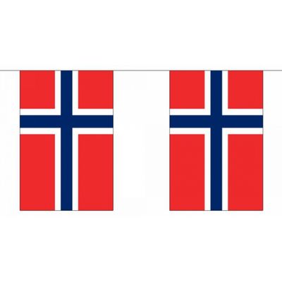 Luxe Noorwegen vlaggenlijn 9 m