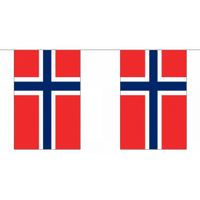 Luxe Noorwegen vlaggenlijn 9 m