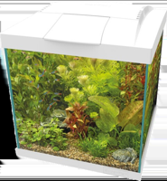 Superfish Start Qube 30 kit wit
