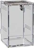 Repto terrarium clear 11,5x10x16,5 cm Aquadistri - Aquadistri