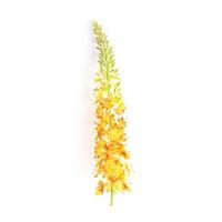 Kunstbloem Lythrum Oranje S