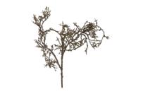 Kunsttak Twig donkerbruin Countryfield - Countryfield