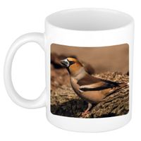 Dieren foto mok appelvink vogel - vogels beker wit 300 ml - thumbnail