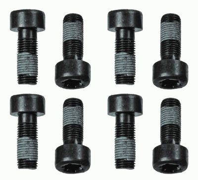 Sachs Schroevenset 1874000060