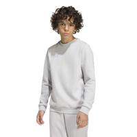 adidas Entrada 26 Sweater Kids Grijs Wit