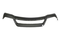 Bumper 5510000096906P