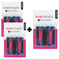 Everbright DailyClean opzetborstels zwart - 12 stuks Everbright DailyClean opzetborstels zwart - 12 stuks