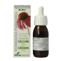 Soria Natural echinacea purpurea xxi Soria Natural echinacea purpurea xxi