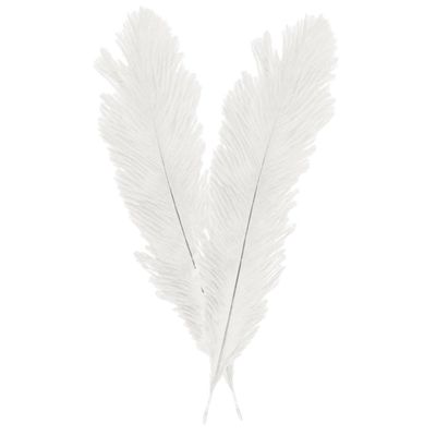 Pieten struisvogelveer/sierveer - 2x - creme wit - 55-60 cm - decoratie/hobbymateriaal