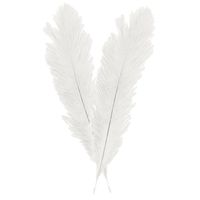 Pieten struisvogelveer/sierveer - 2x - creme wit - 55-60 cm - decoratie/hobbymateriaal