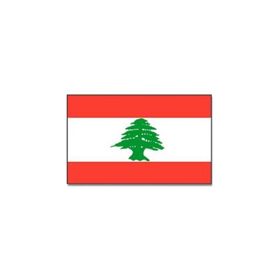 Vlag Libanon van 90 x 150 cm - feestartikelen - Landen thema supporters