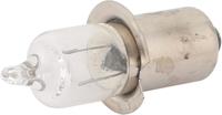 CONTEC gloeilamp "shine" ct light bulb 6v 3w plugin base