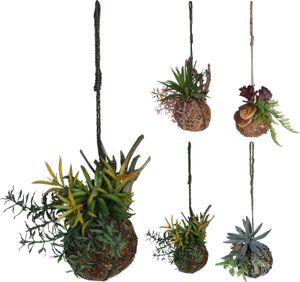 Plant macrame