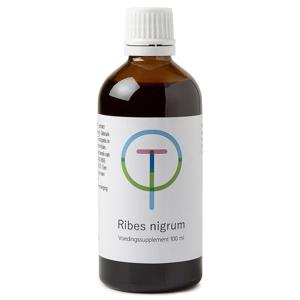 TW Ribes nigrum zwarte bes
