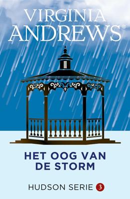 Het oog van de storm (Paperback)