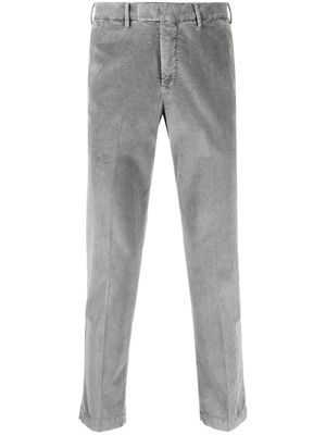PT Torino pantalon droit en velours côtelé - Gris