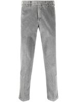 PT Torino pantalon droit en velours côtelé - Gris