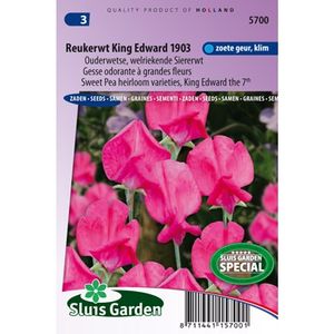 Lathyrus Odoratus zaden King Edward the 7th reukerwt