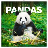 Panda Kalender 2026