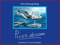 Pico's droom (Paperback) Pico's droom (Paperback)
