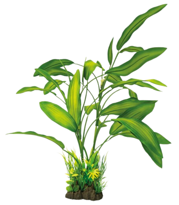 Superfish Art Plant 40 cm Cryptocoryne