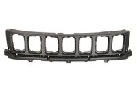 Radiateurgrille 6502073217991P