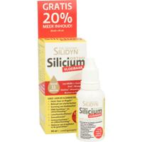 Silidyn Silicium