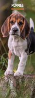 Puppy Kalender 2026 Slimline