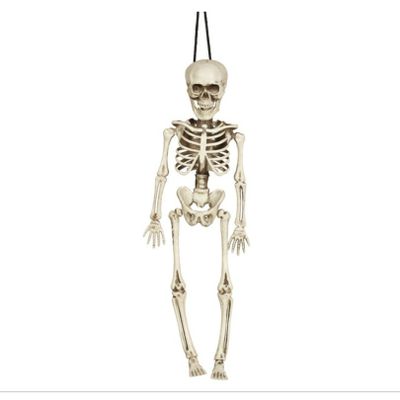 Horror/halloween decoratie skelet/geraamte pop - hangend - 40 cm